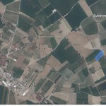 Manisa - Akhisar  Akselendi de Satılık Bağ